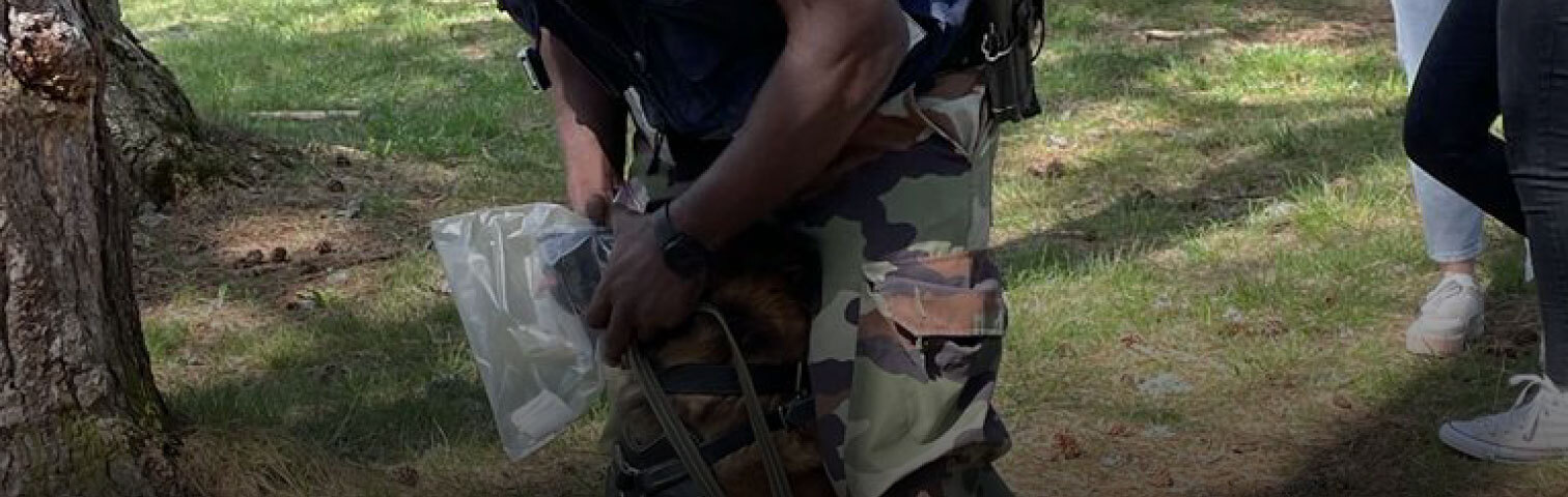 Atteinte d'une vertèbre (C0-C1) réduisant les performances olfactives du chien de piste / défense