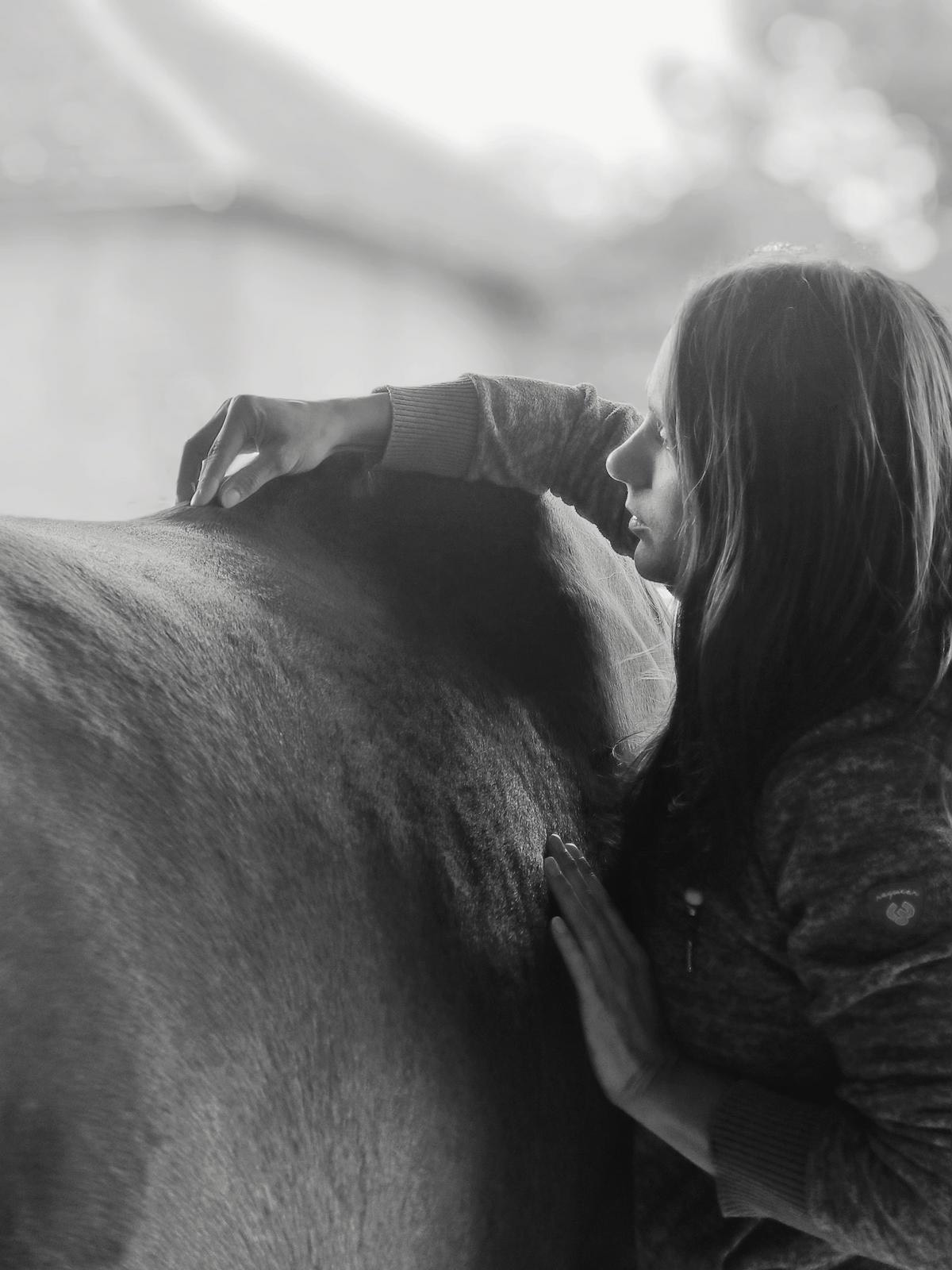Marie Grosjean- formateur ostéopathie animale