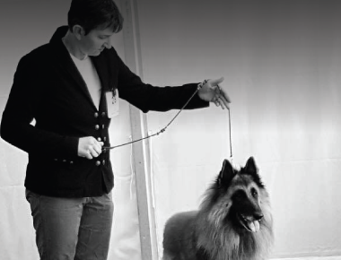 Anne Facon - formateur ostéopathie animale