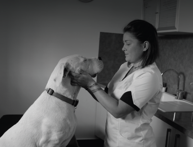 Coralie Bastos - formateur ostéopathie animale