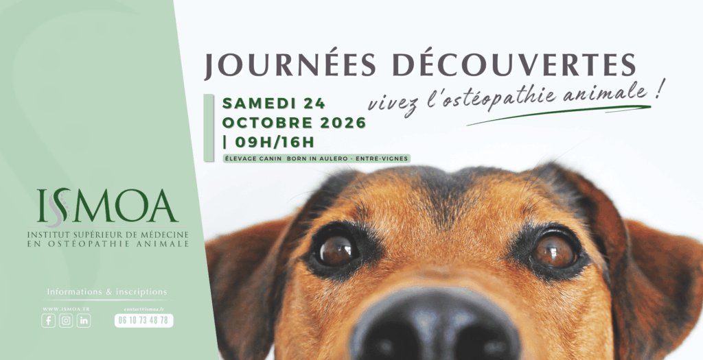 Journée découverte ISMOA