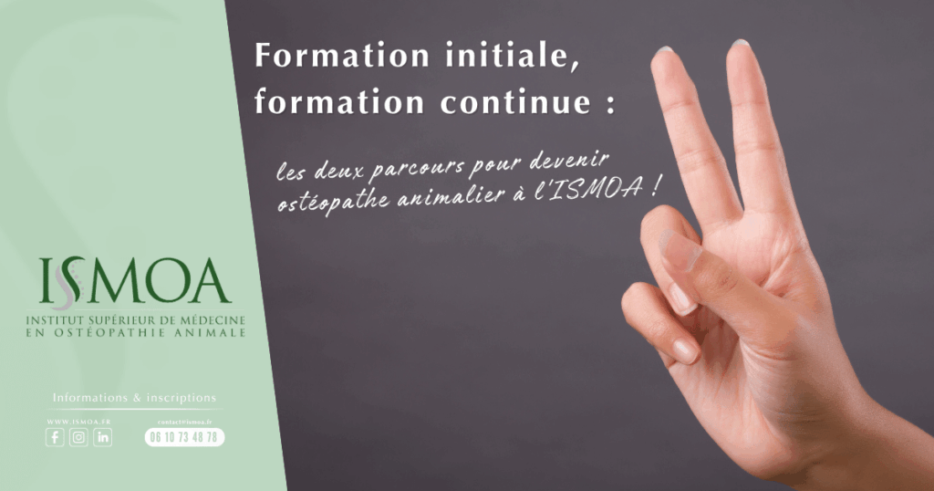 Étudiants ISMOA en séminaire pratique d'ostéopathie animale