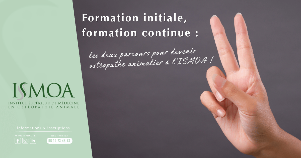 Étudiants ISMOA en séminaire pratique d'ostéopathie animale