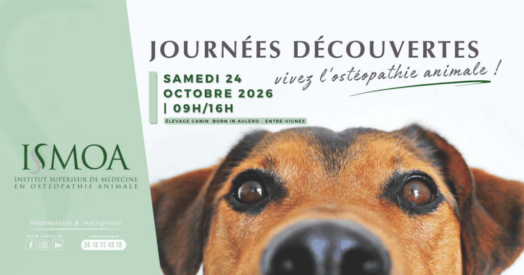 Journée découverte ISMOA du 24 octobre 2026 à l'élevage Born in Aulero