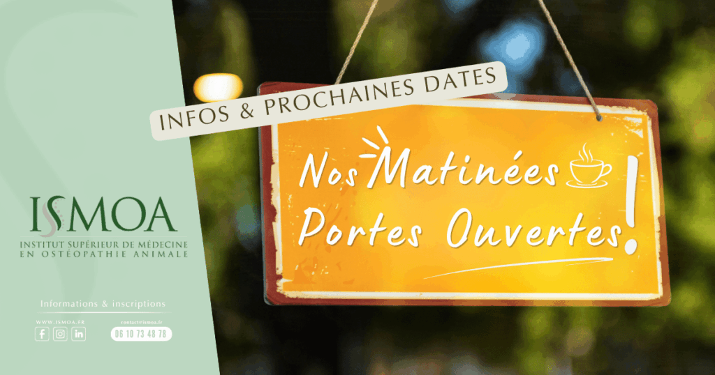 Matinée portes ouvertes à l'ISMOA, école d'ostéopathie animale à Béziers